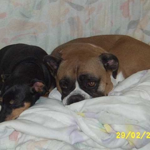 Cozy with my big brother - Riley