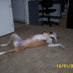 Do I look relaxed yet?