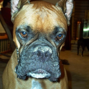 SOOOO serious
