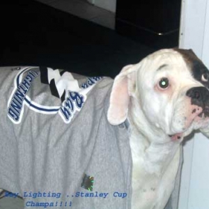 Stanley Cup Boxer!!!!