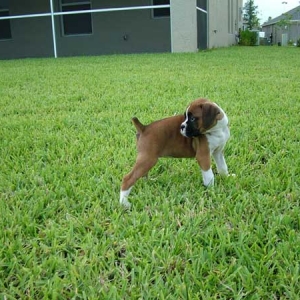 First Day Home