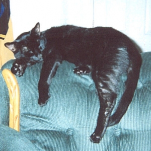 Tinker