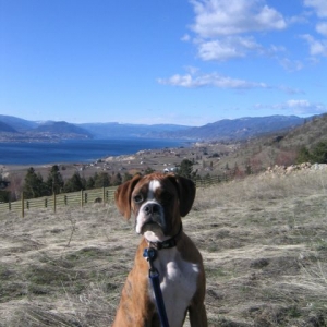 Bentley in BC