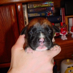 Fiona at 2 weeks