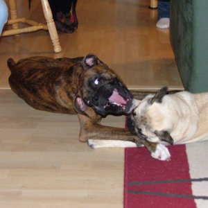 Playing with Elway