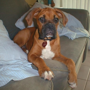 sunny at 6 months