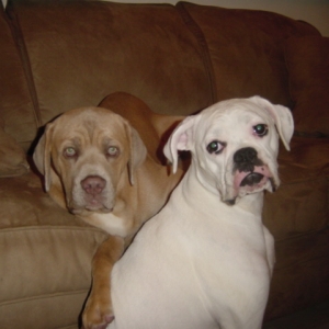 Mable and Max