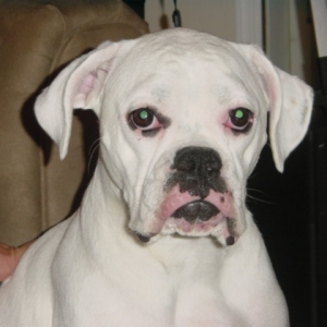 Mable