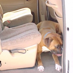 Always ready for a ride