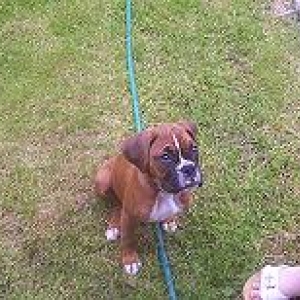 sitting now wheres the treat!