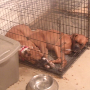 Fast Asleep