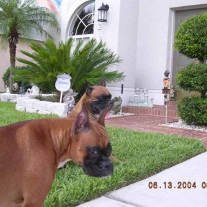 Ms. Tasha was alittle upset with TAZ.