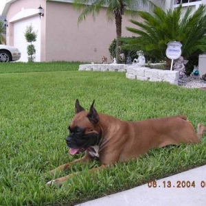TAZ stretching it out!!!