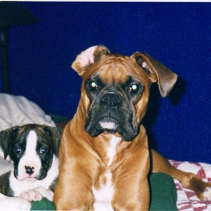 My two babes