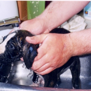 My first bath