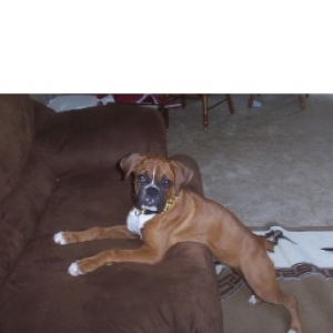 Roxy  being  sneaky