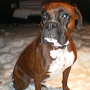 maddie in the snow