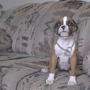 daisy mae