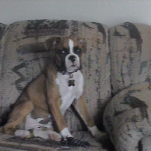 daisy mae
