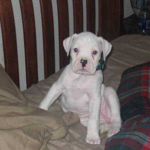 Sadie on her first day home