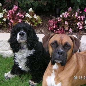 Zoey and Sassy ( mop-top )