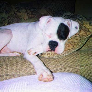 Nap time