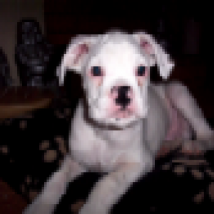 billy