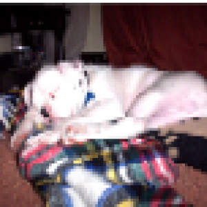 billy