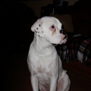 billy