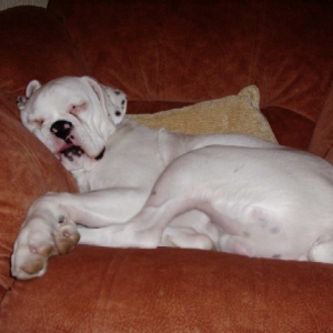 billy