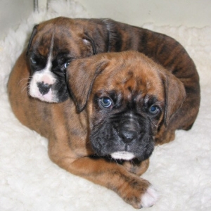 Ruski and Sister