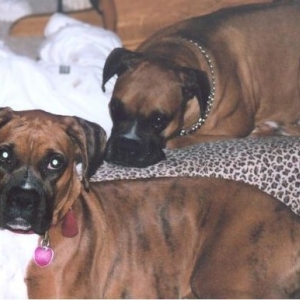 Minnie Mouse & Tazz