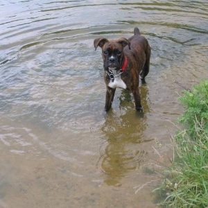 Look mum Im in the water