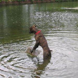 I can see the pub from 'ere