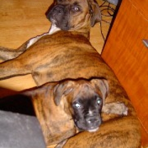 You talking to Us?