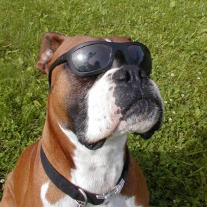 J.C. Cool