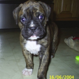 I'm 4.5 weeks old here