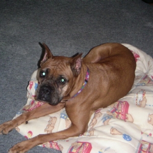 xena on her first night with us