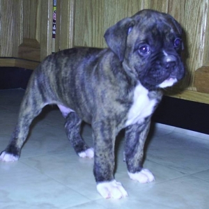 Do I look handsome Mom?