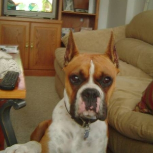 Quit watching TV and play with me!!!