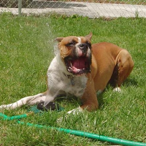 Cooling Down!