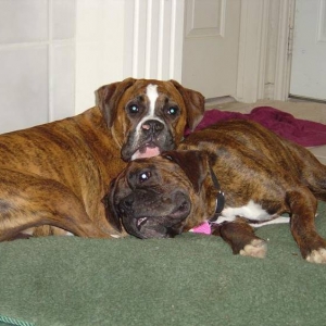 Don't you just love how boxers love each other