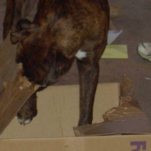 Should have used UPS