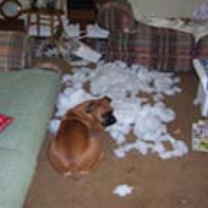 badpillow