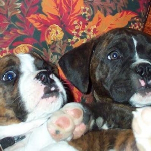 Drakeand Jake