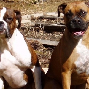 Drake and Zeek