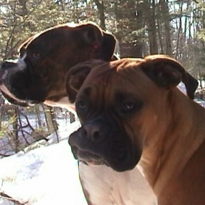 Drake and Zeek