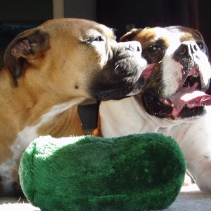 kisses