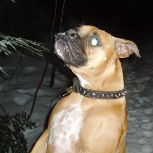 up Zeek!