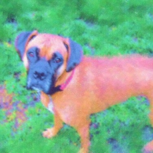 Pretty Layla in pastel :)